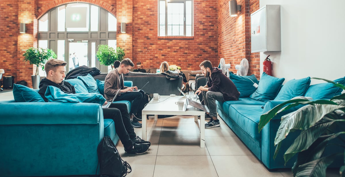 SM working with web development company